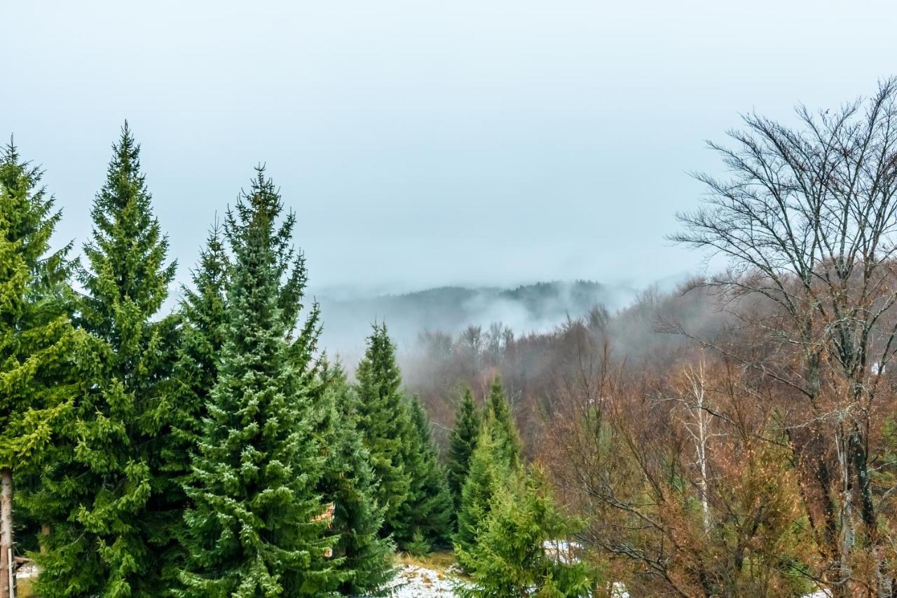 Apartmani “LAZAR” i “LENA” Kopaonik Zewnętrze zdjęcie